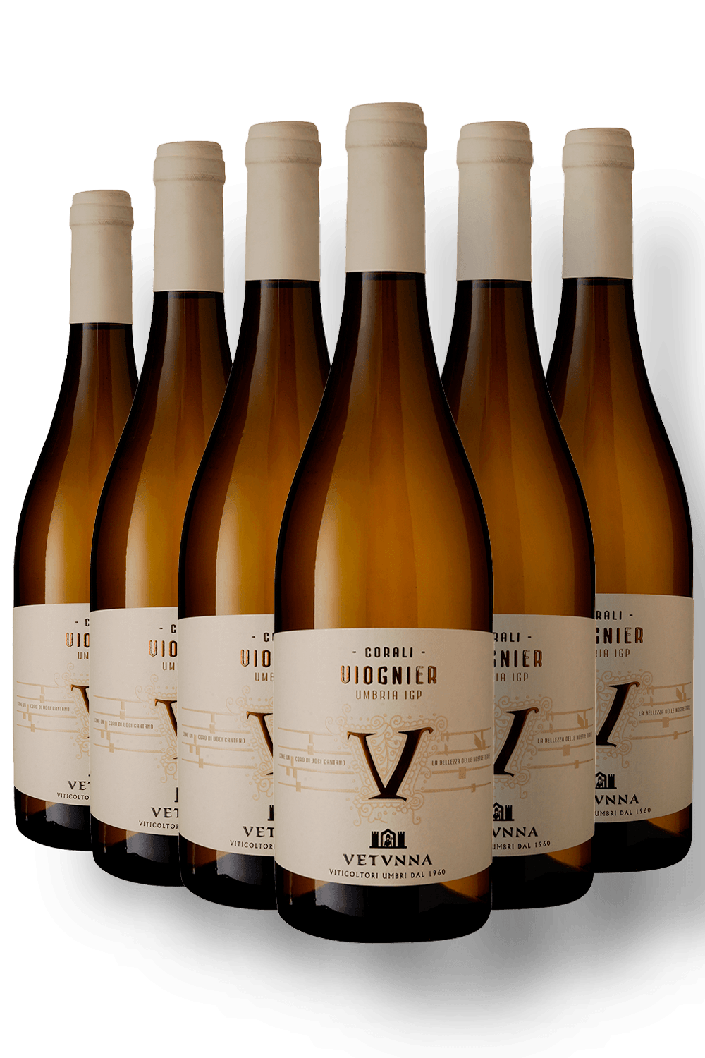 029094 - I Corali Viognier Umbria IGP